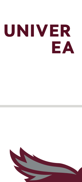 University of Maryland Eastern Shore wordmark, maroon/grey variant, cell 2