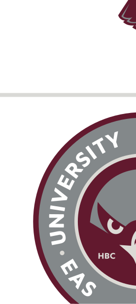 University of Maryland Eastern Shore wordmark, grey variant, cell 3