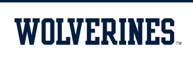 WOLVERINES, blue variant, cell 14