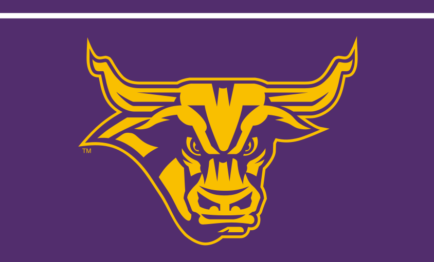 Mavericks Steer Mark, gold/purple on purple variant, cell 4