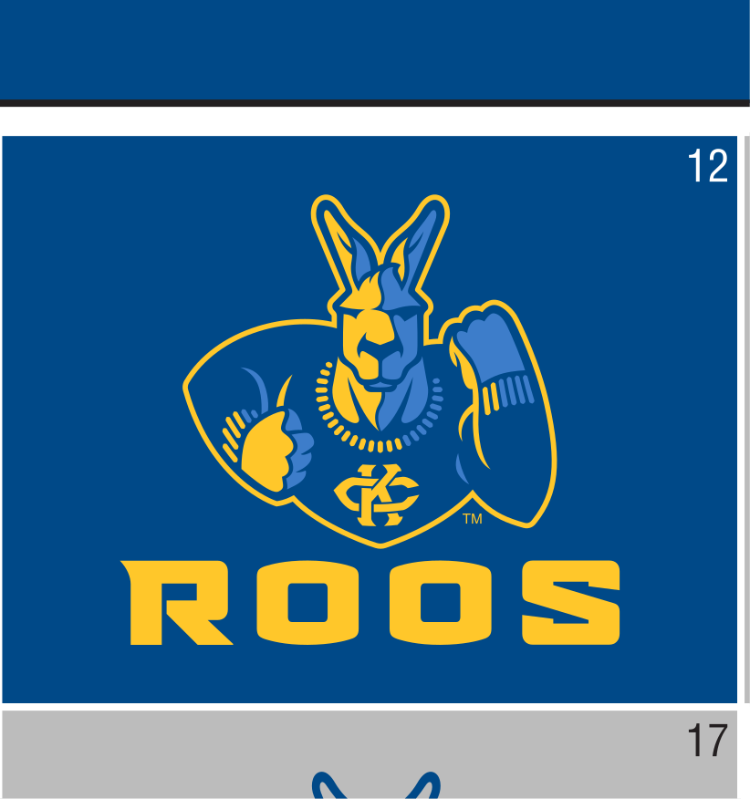 secondary mark, full color on navy variant, cell 12