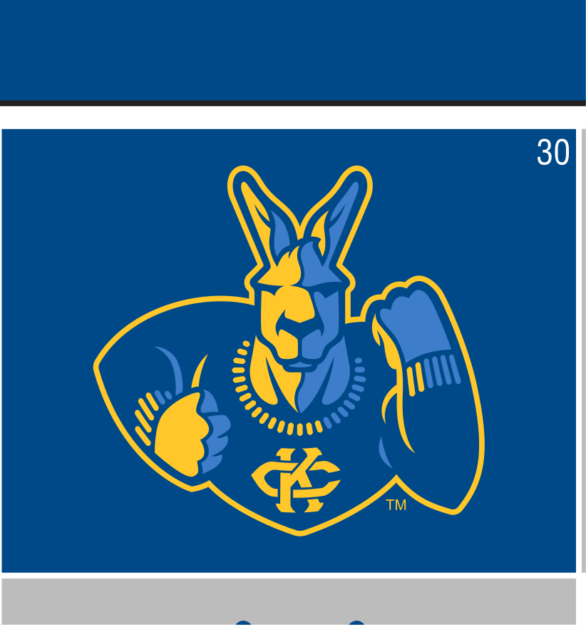 mascot mark, full color on navy variant, cell 30