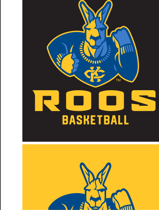 Basketball mark, full color on navy variant, cell 80