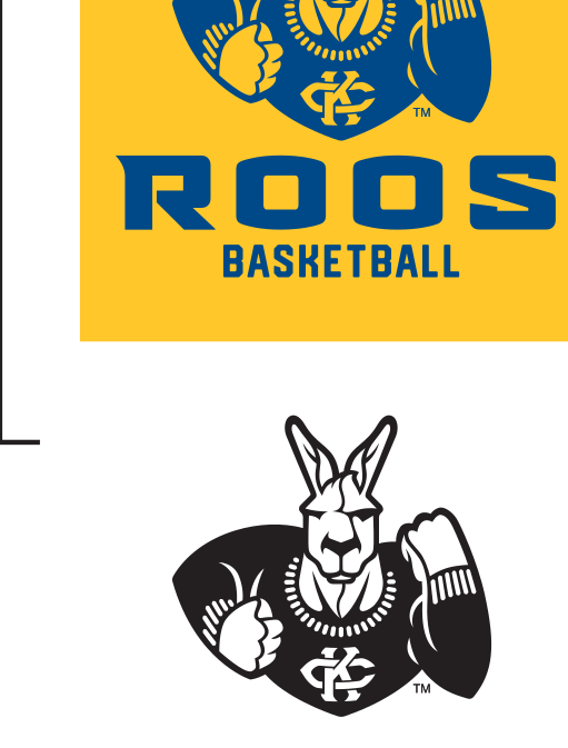 Basketball mark, 2-color on navy variant, cell 82