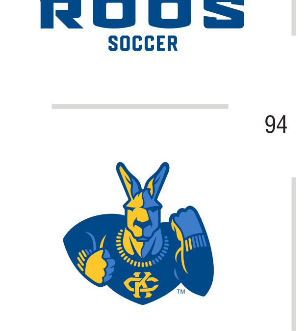 Soccer mark, full color variant, cell 89