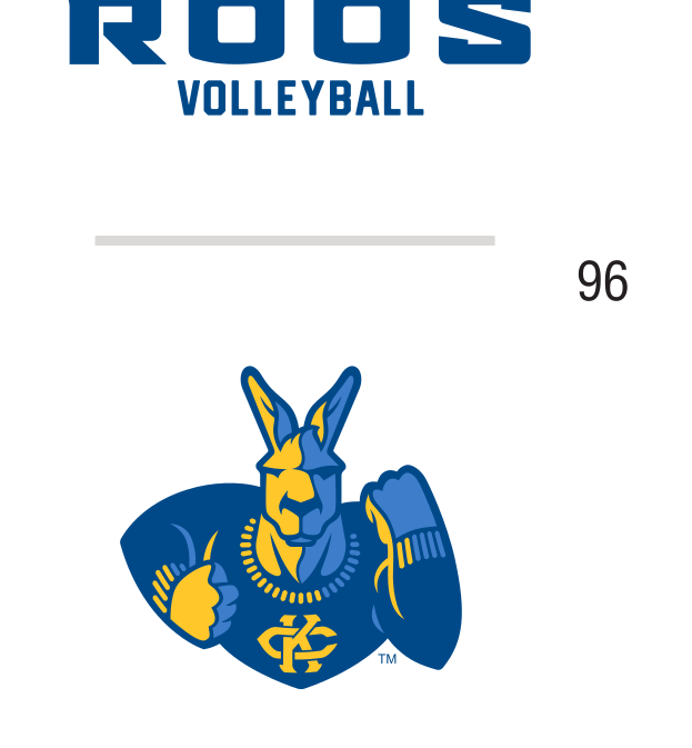 Volleyball mark, full color variant, cell 91
