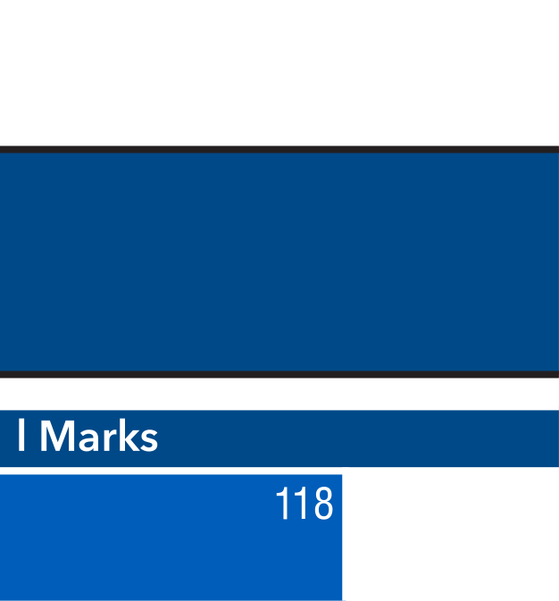 Sports Medicine mark, full color variant, cell 105