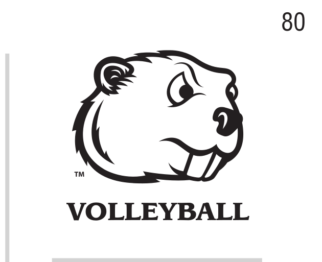 Beaver head with VOLLEYBALL, black on white variant, cell 80