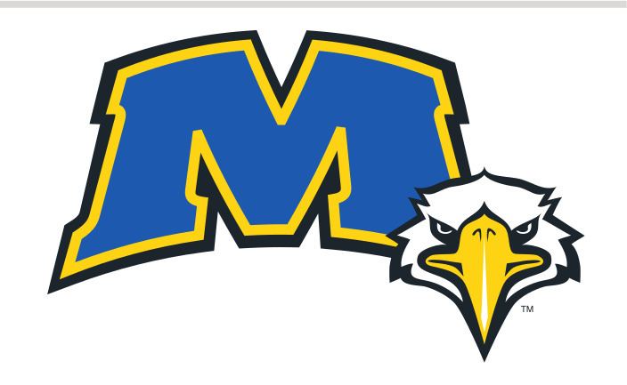 M lettermark with eagle head, blue and gold variant, cell 32