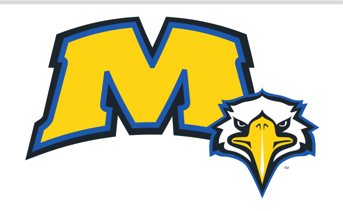 M lettermark with eagle head, blue and gold alternate variant, cell 33
