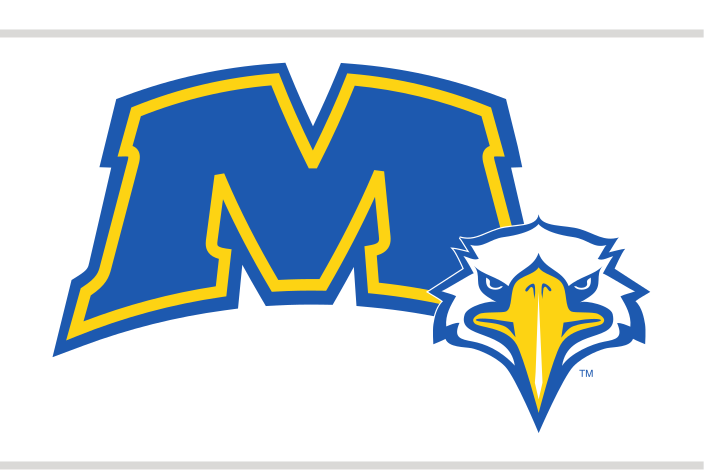 M lettermark with eagle head, blue and white variant, cell 34