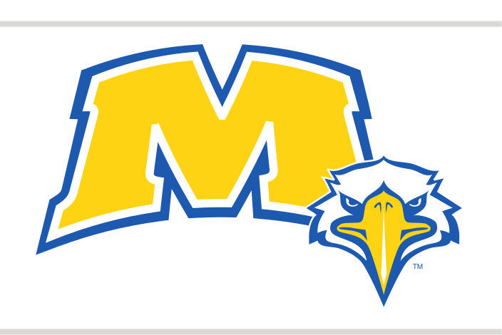 M lettermark with eagle head, gold and blue variant, cell 35