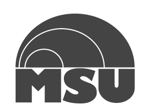 MSU Mark, inside dome, black/white variant