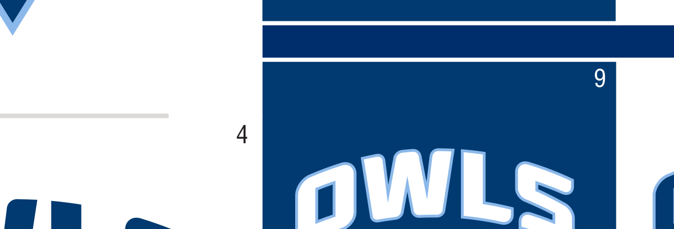 owl head, full color on white variant, cell 6