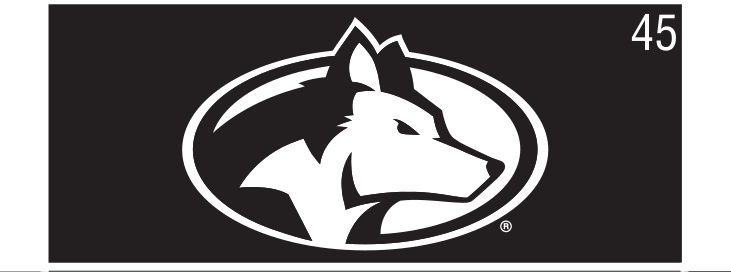 husky head icon, full color on black variant, cell 45