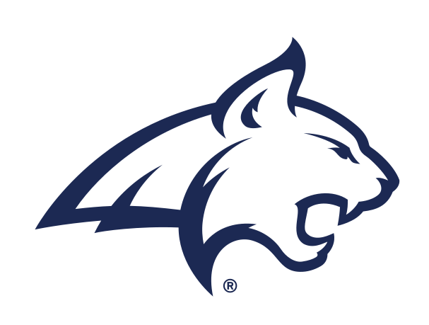 bobcat head, blue outline variant, cell 3