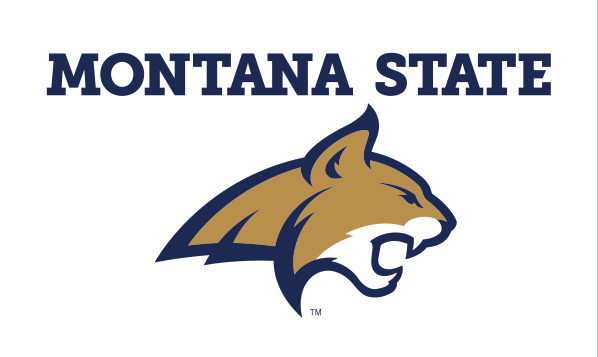 Montana State lockup, horizontal full color variant, cell 8