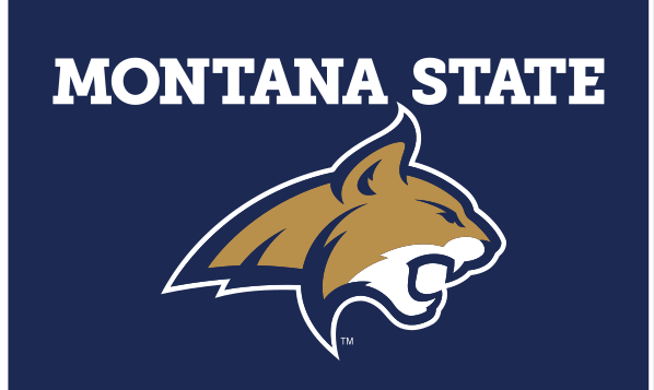 Montana State lockup, horizontal full color on blue variant, cell 9