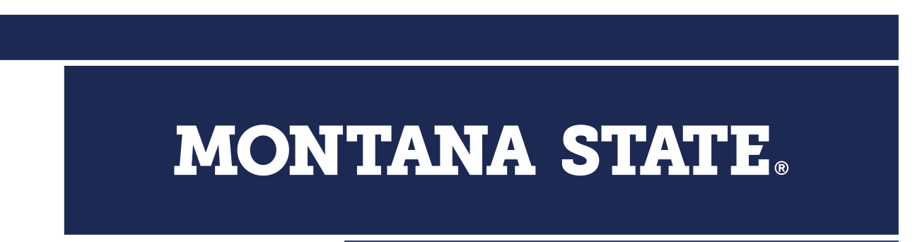 MONTANA STATE wordmark, horizontal reverse variant, cell 23