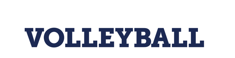 VOLLEYBALL wordmark, blue variant, cell 46
