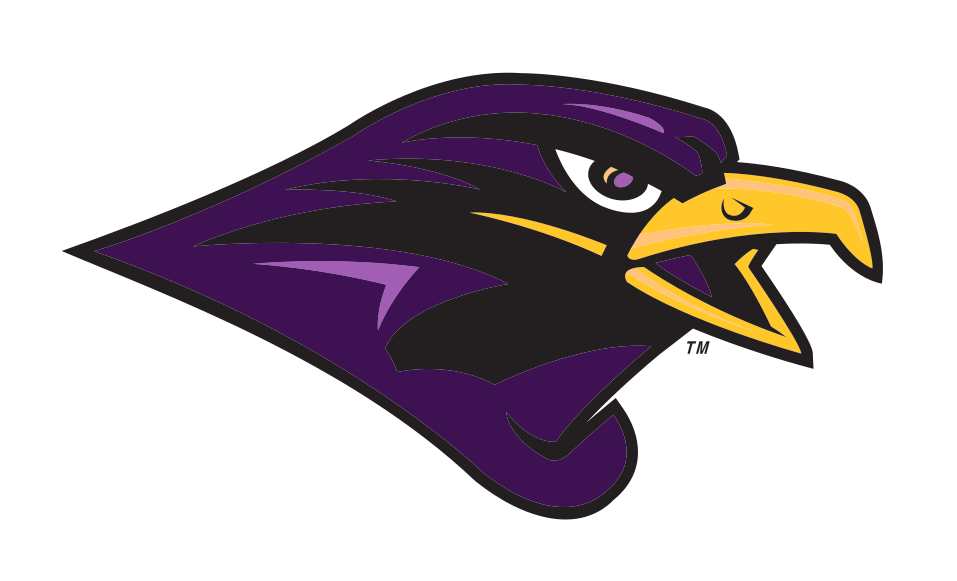 University of Montevallo Falcons mascot head, full color variant, cell 3