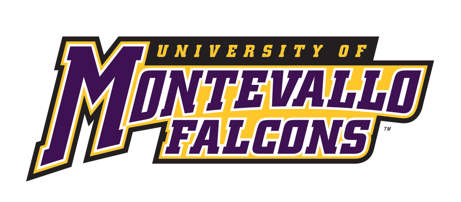University of Montevallo Falcons wordmark, full color variant, cell 5