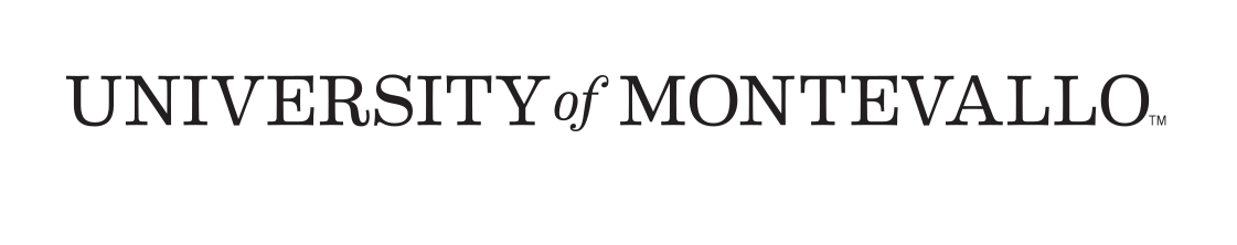 wordmark, horizontal, black on white variant, cell 28