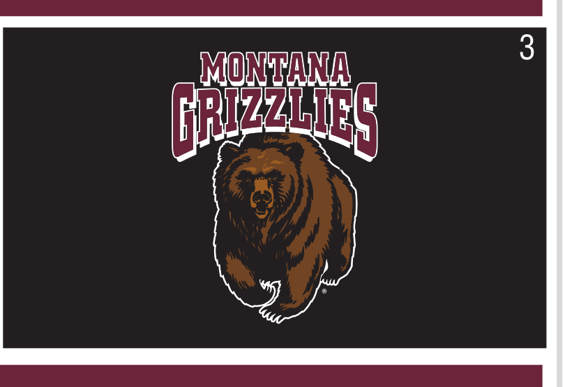 mascot head with wordmark, full color on black variant, cell 3
