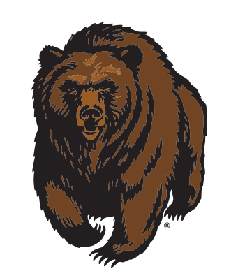 mascot head, full color on white variant, cell 4