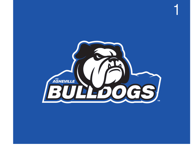 Bulldog head with Asheville Bulldogs wordmark, color on blue variant, cell 13