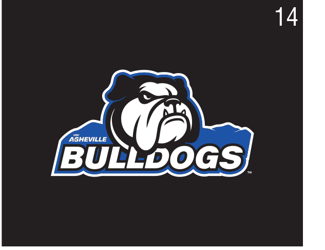 Bulldog head with Asheville Bulldogs wordmark, color on black variant, cell 14