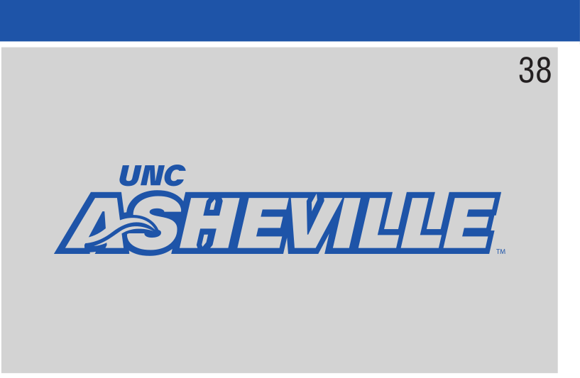 UNC Asheville wordmark, blue on grey variant, cell 38