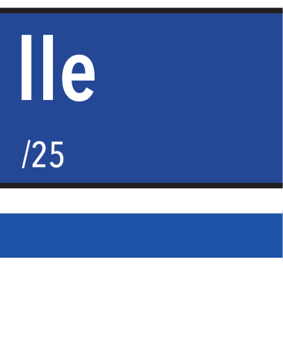 UNC Asheville Flag Football, black outline variant, cell 95