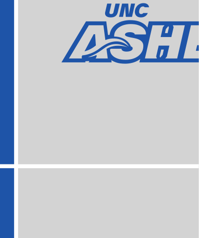 UNC Asheville Lacrosse, blue outline on gray variant, cell 110