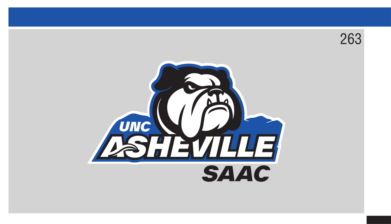 UNC Asheville Bulldog with SAAC wordmark, full color on gray variant, cell 263