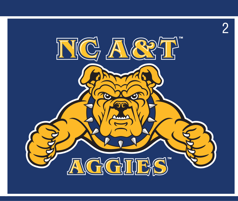 Primary Mark, full color on navy variant, cell 2