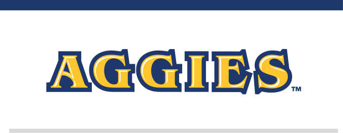 Wordmark AGGIES, full color variant, cell 19