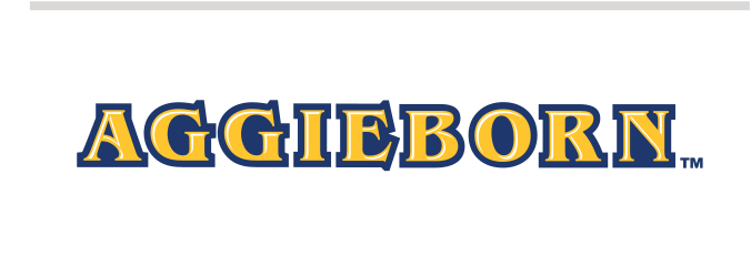 Wordmark AGGIEBORN, full color variant, cell 23