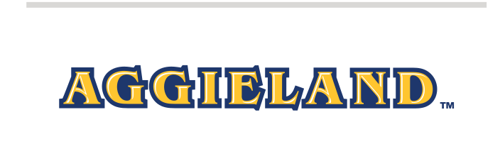 Wordmark AGGIELAND, full color variant, cell 24