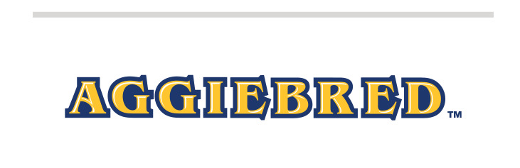 Wordmark AGGIEBRED, full color variant, cell 25