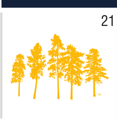 Ponderosa Pines, gold variant, cell 21