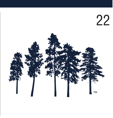 Ponderosa Pines, blue variant, cell 22