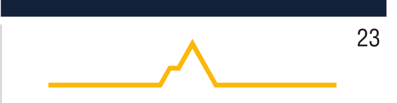 NAU Heartbeat, gold variant, cell 23