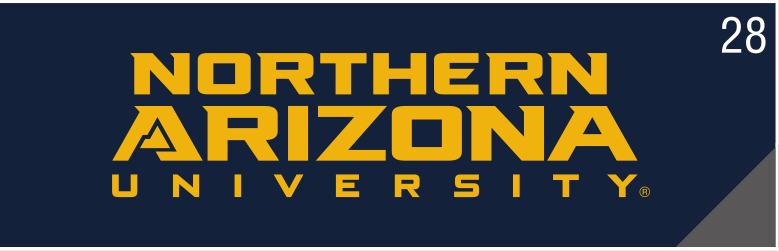 NORTHERN ARIZONA UNIVERSITY wordmark, gold on blue variant, cell 28