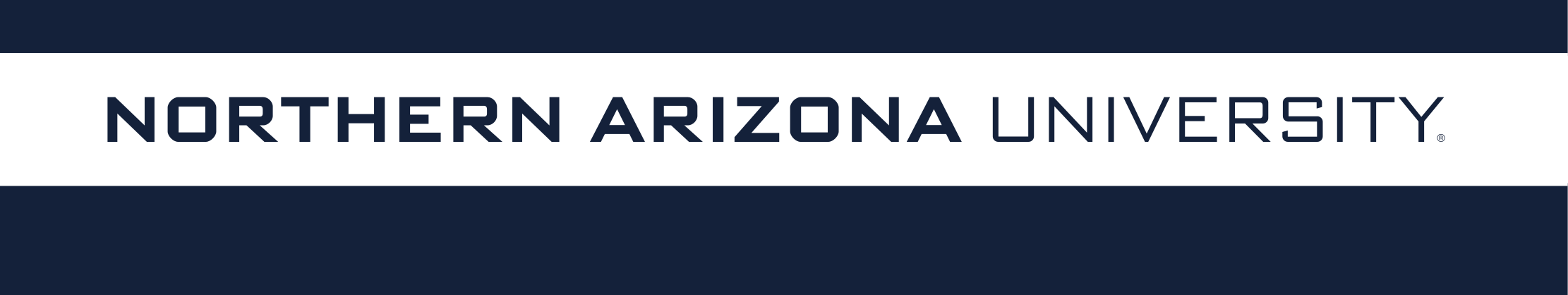 Northern Arizona University wordmark, horizontal blue/black variant, cell 63