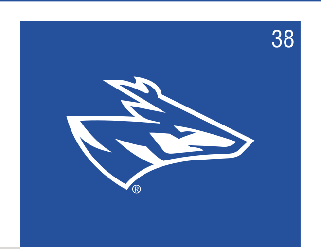 Loper head, white/blue on blue variant, cell 38