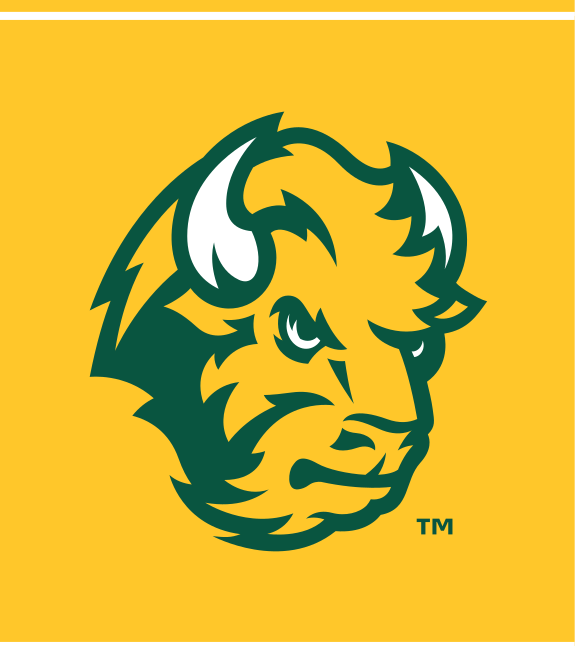 bison head, full color on yellow variant, cell 13