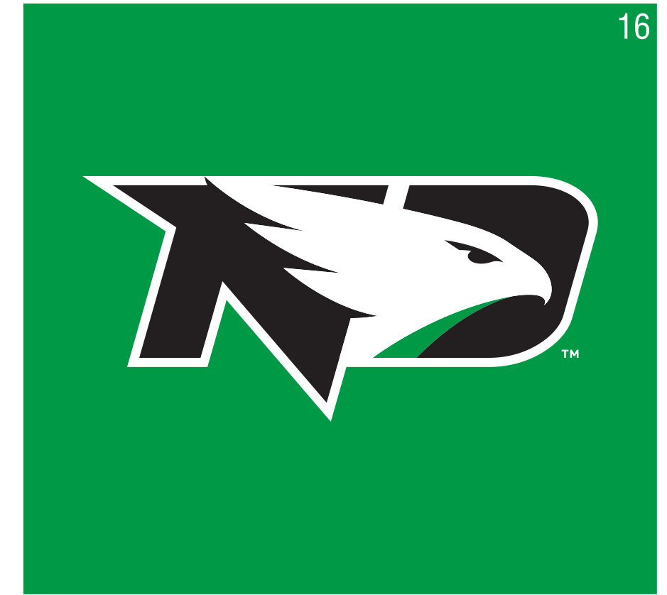 Hawk Head logo, full color on green variant, cell 16