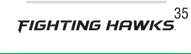 FIGHTING HAWKS wordmark, black variant, cell 35