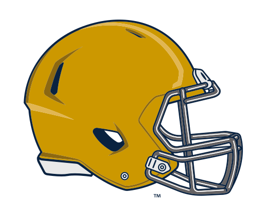Specialty Mark, Helmet Right Gold/Navy variant